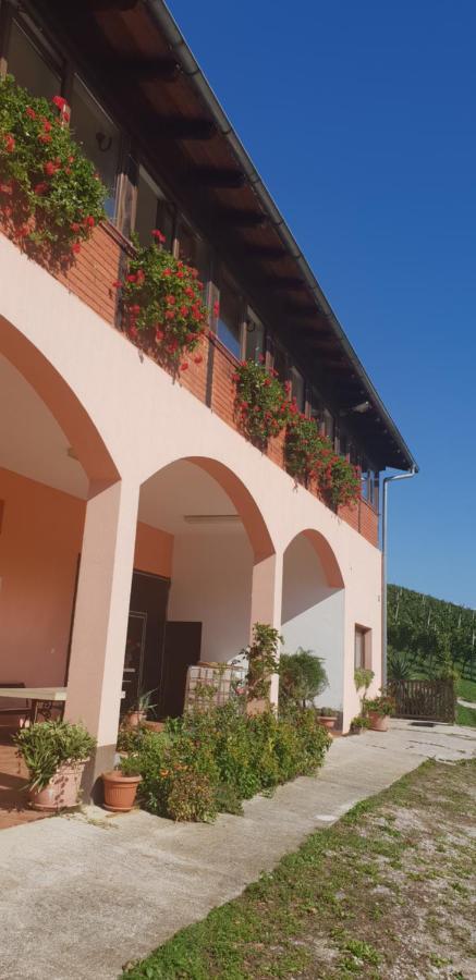 Klet Jana Bed & Breakfast Jastrebarsko Ngoại thất bức ảnh